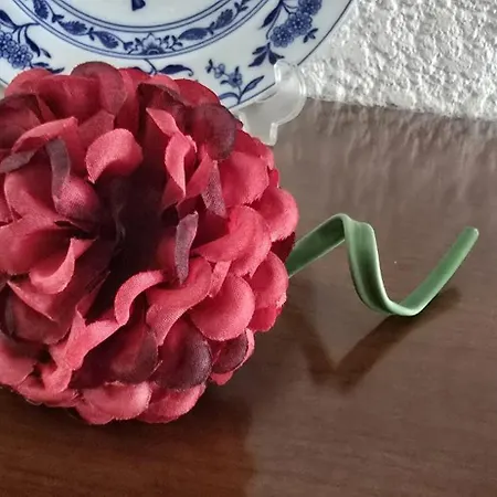 بيت للعطل Gomes & Fortunato House *