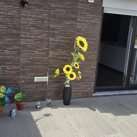 בית נופש Gomes & Fortunato House